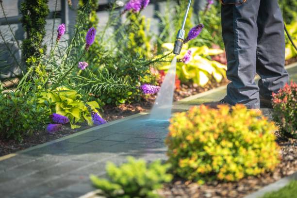 Best House Exterior Washing  in Menands, NY